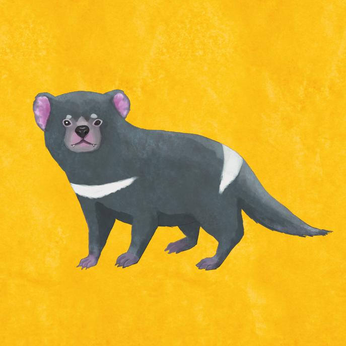 動物イラスト。