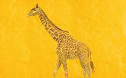 動物イラスト。