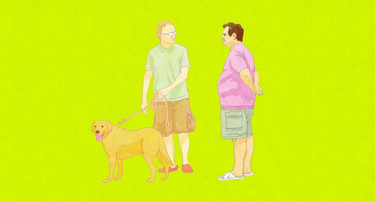 Illustration