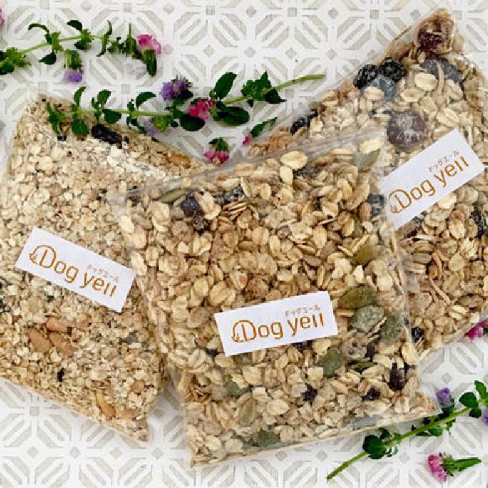 手作りドッグフード専門店様のロゴデザイン